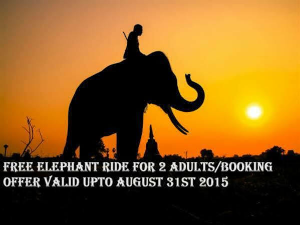 Periyar Woods Bed and Breakfast Thekkady Εξωτερικό φωτογραφία